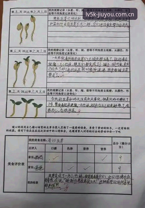 注意，这片叶子自己会走，这是我认真观察后发现的几点